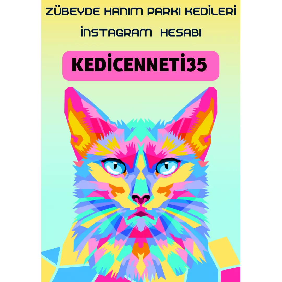 kedicenneti35
